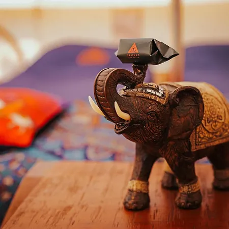 Campo de lujo Salinko Glamping